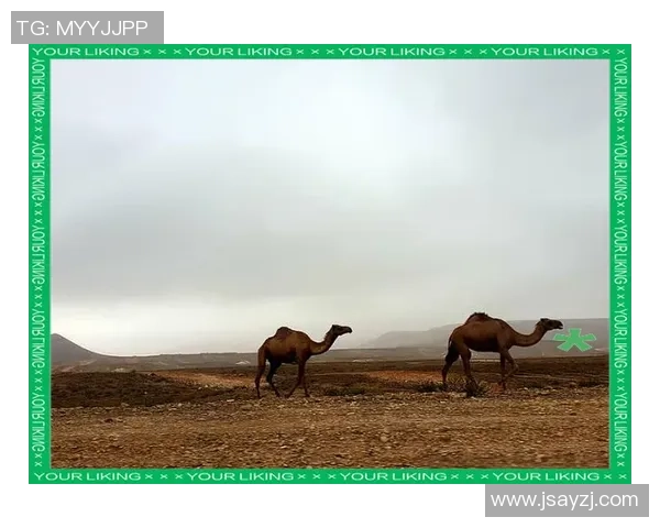 男神头像足球明星高清图片分享展现魅力与风采的完美瞬间 男神头像足球明星高清图片分享展现魅力与风采的完美瞬间